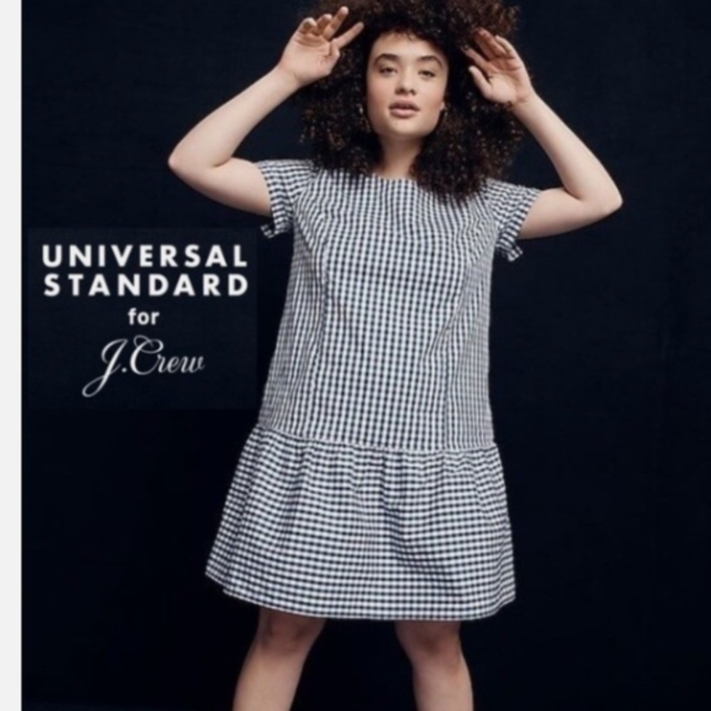 Universal Standard X J. Crew Gingham Drop Waist Blue White Mini Dress Nwt XS